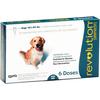 Revolution Topical Solution for Dogs