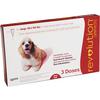 Revolution Topical Solution for Dogs