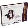 Revolution Topical Solution for Dogs