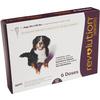 Revolution Topical Solution for Dogs