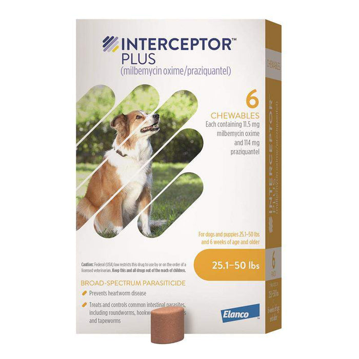 Interceptor Plus Chew for Dogs, 25.1-50 lbs, (Yellow Box)